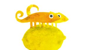 11 MONDO COLORI