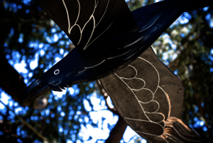 Uccello in volo